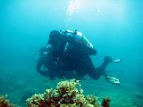 2009-09-08 13-01-40S